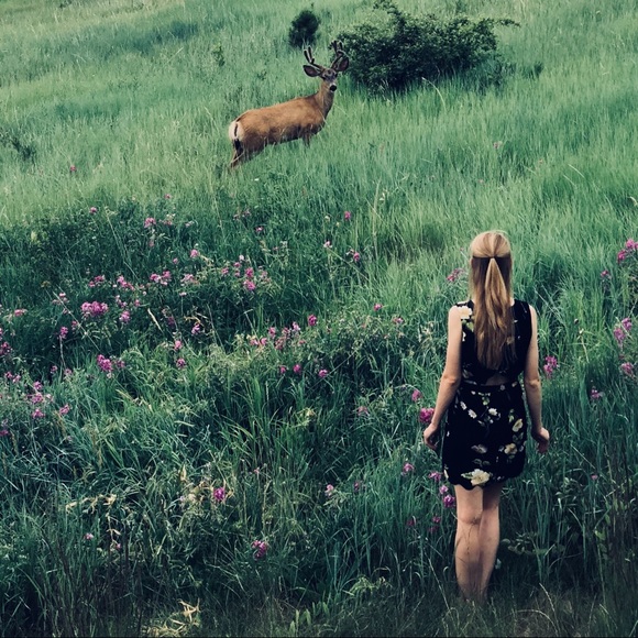 Meet your Posher, Kat - Picture 1 of 1